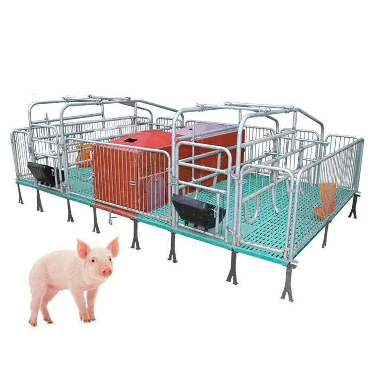 Hot Sale Low Price Pig Pen Commercial Pig Housing Pig Farrowing Crate House Construction