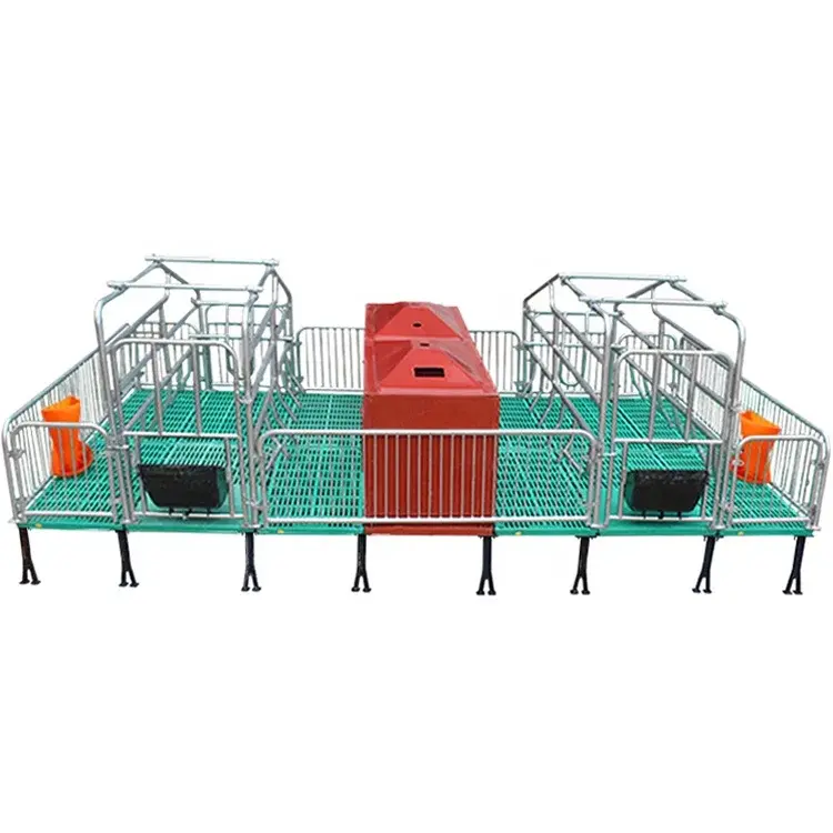 Hot Sale Low Price Pig Pen Commercial Pig Housing Pig Farrowing Crate House Construction