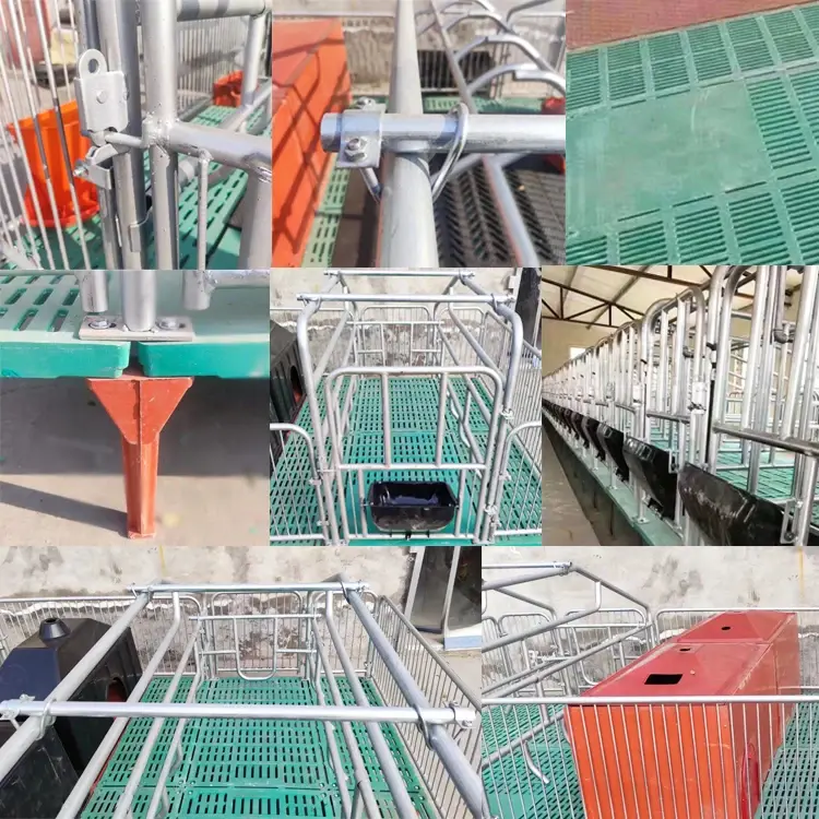 Hot Sale Low Price Pig Pen Commercial Pig Housing Pig Farrowing Crate House Construction