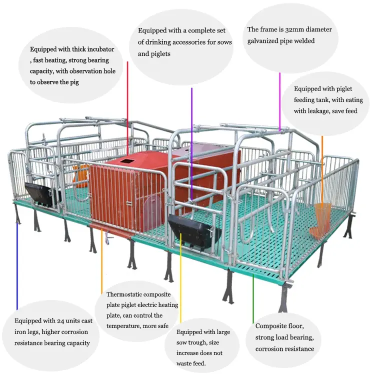 Hot Sale Low Price Pig Pen Commercial Pig Housing Pig Farrowing Crate House Construction