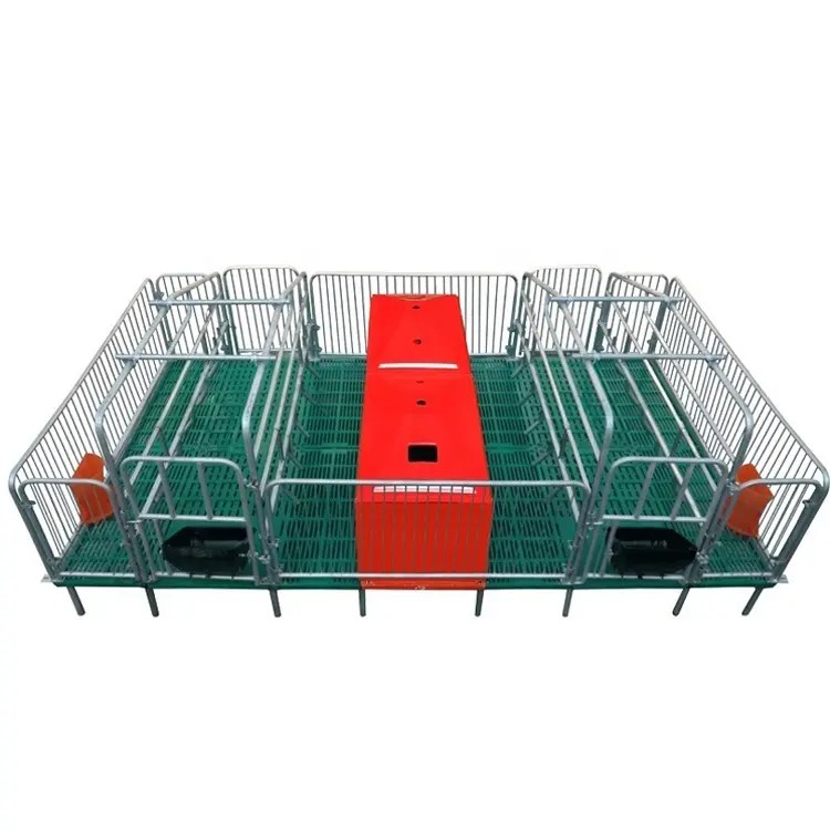 Hot Sale Low Price Pig Pen Commercial Pig Housing Pig Farrowing Crate House Construction