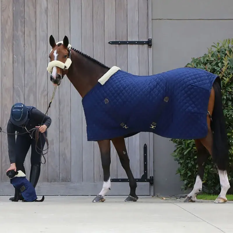 Wholesale Customize Horse Rug Turnout Stable Combo Equestrian Equine Blanket & High Quality Dog Coat Pet Clothes