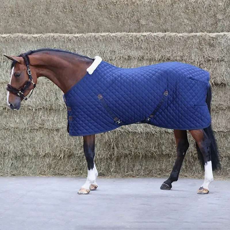 Wholesale Customize Horse Rug Turnout Stable Combo Equestrian Equine Blanket & High Quality Dog Coat Pet Clothes