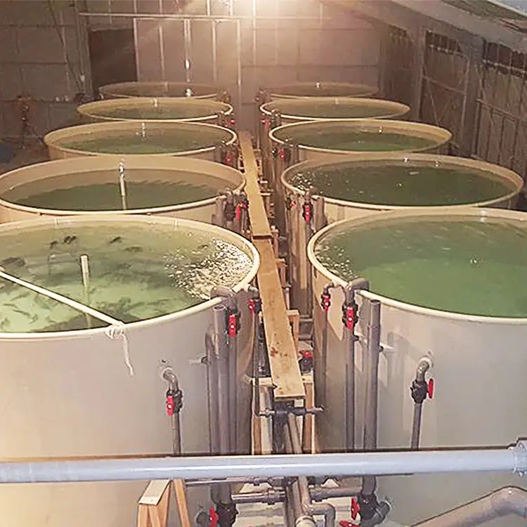 High Quality Filtration System Indoor Aquaculture Fish Farming Equipment