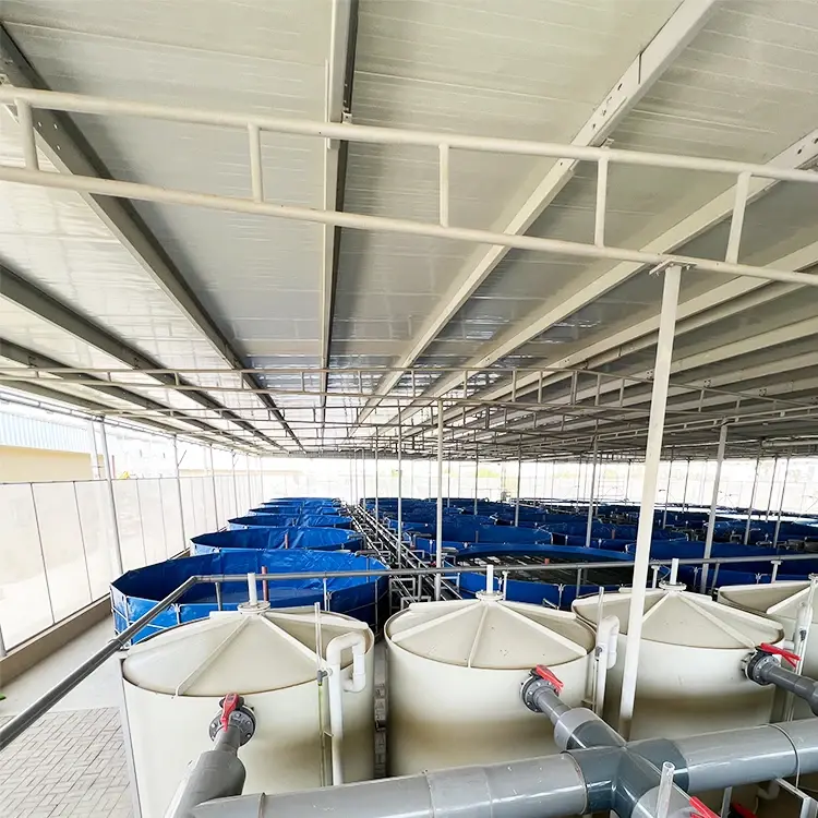 High Quality Filtration System Indoor Aquaculture Fish Farming Equipment