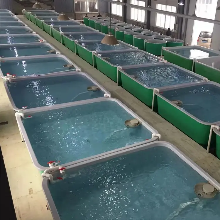 High Quality Filtration System Indoor Aquaculture Fish Farming Equipment