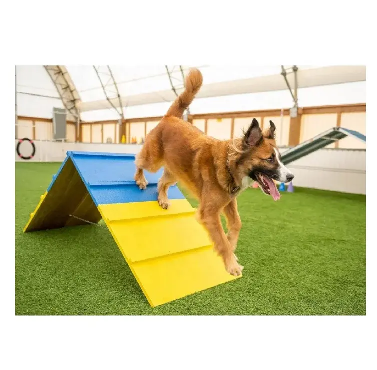 Dog Agility Equipment Pet Agility Course Equipment Better Sporting Dogs Agility