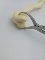 Veterinary Orthopedic Surgical Instruments Products High Quality Hospital Equipment Animal Reduction Forceps Limit