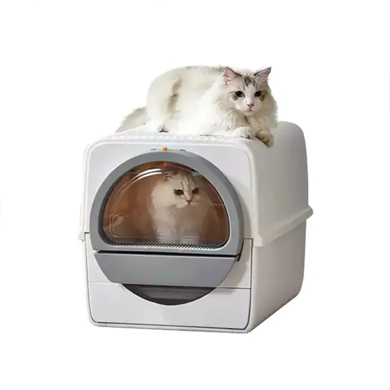 324