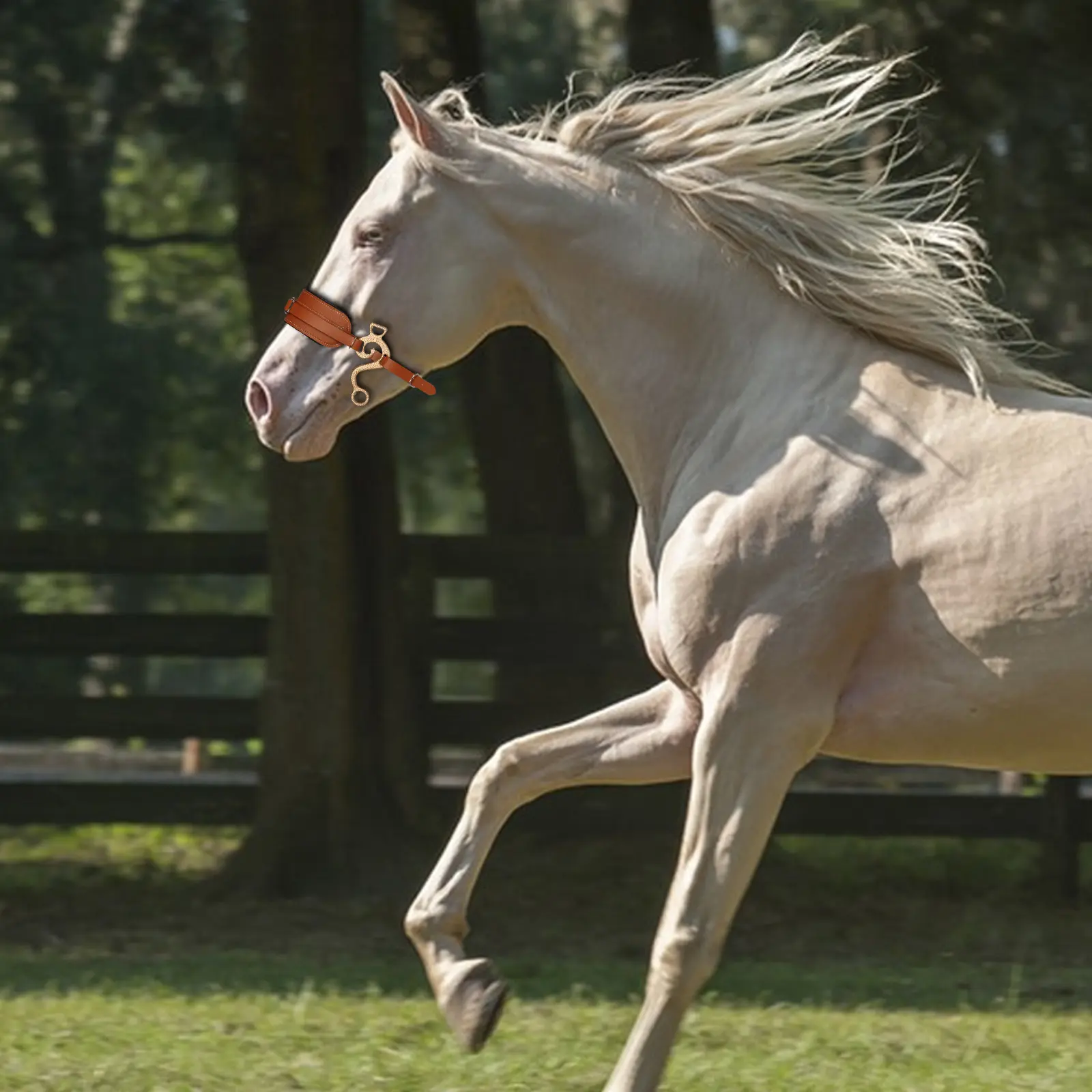 New Fashion Horse Halter Rope Leather Horse Halters for Sale Best Quality Equestrian Hackamore Horse Bridles