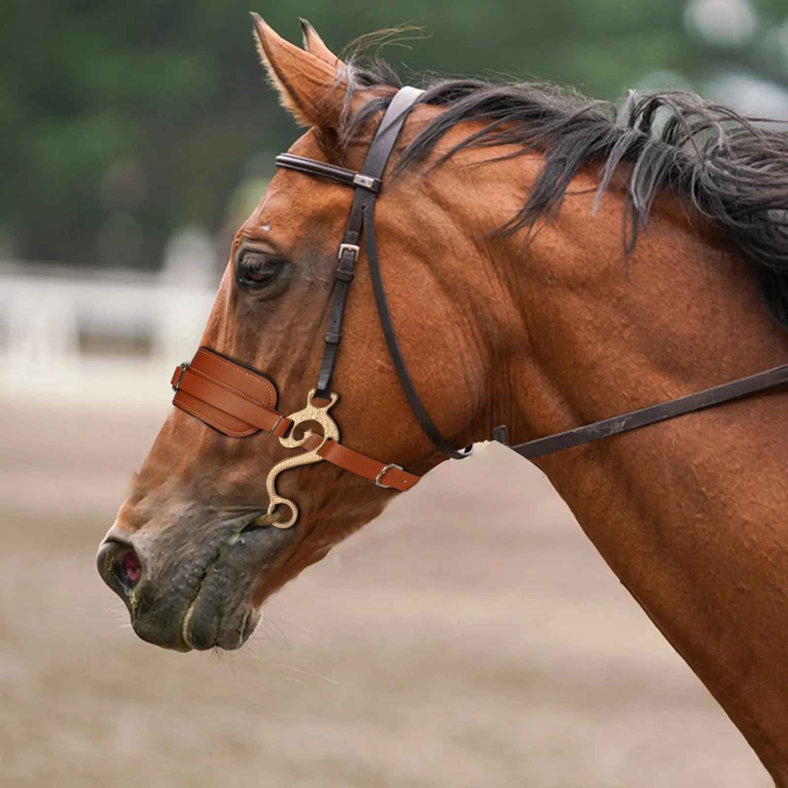 New Fashion Horse Halter Rope Leather Horse Halters for Sale Best Quality Equestrian Hackamore Horse Bridles