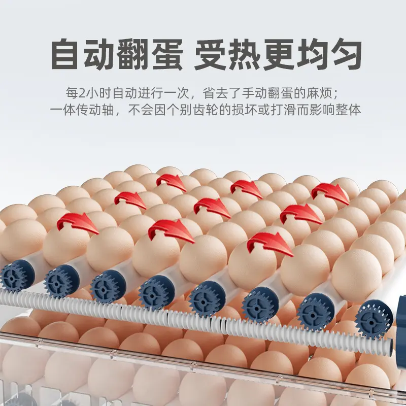 36/48Egg Egg Incubator Water Bed Small Egg Rutin Incubator Small Household Automatic Intelligent Incubator