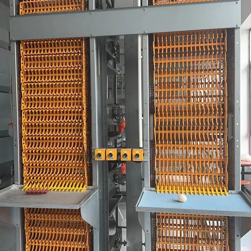Chicken Poultry Farming Automatic Equipments Farm Building House Feeder Breeding Pan Feeding System Feeder