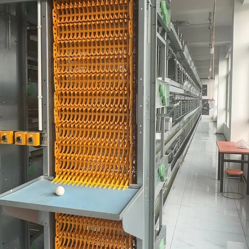 Chicken Poultry Farming Automatic Equipments Farm Building House Feeder Breeding Pan Feeding System Feeder