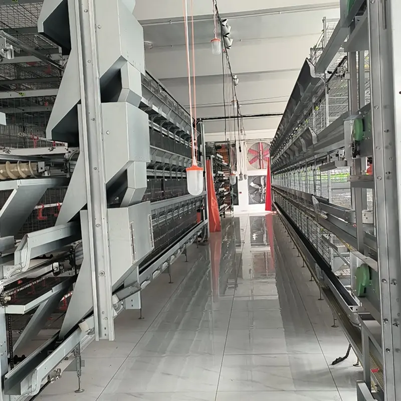 Chicken Poultry Farming Automatic Equipments Farm Building House Feeder Breeding Pan Feeding System Feeder