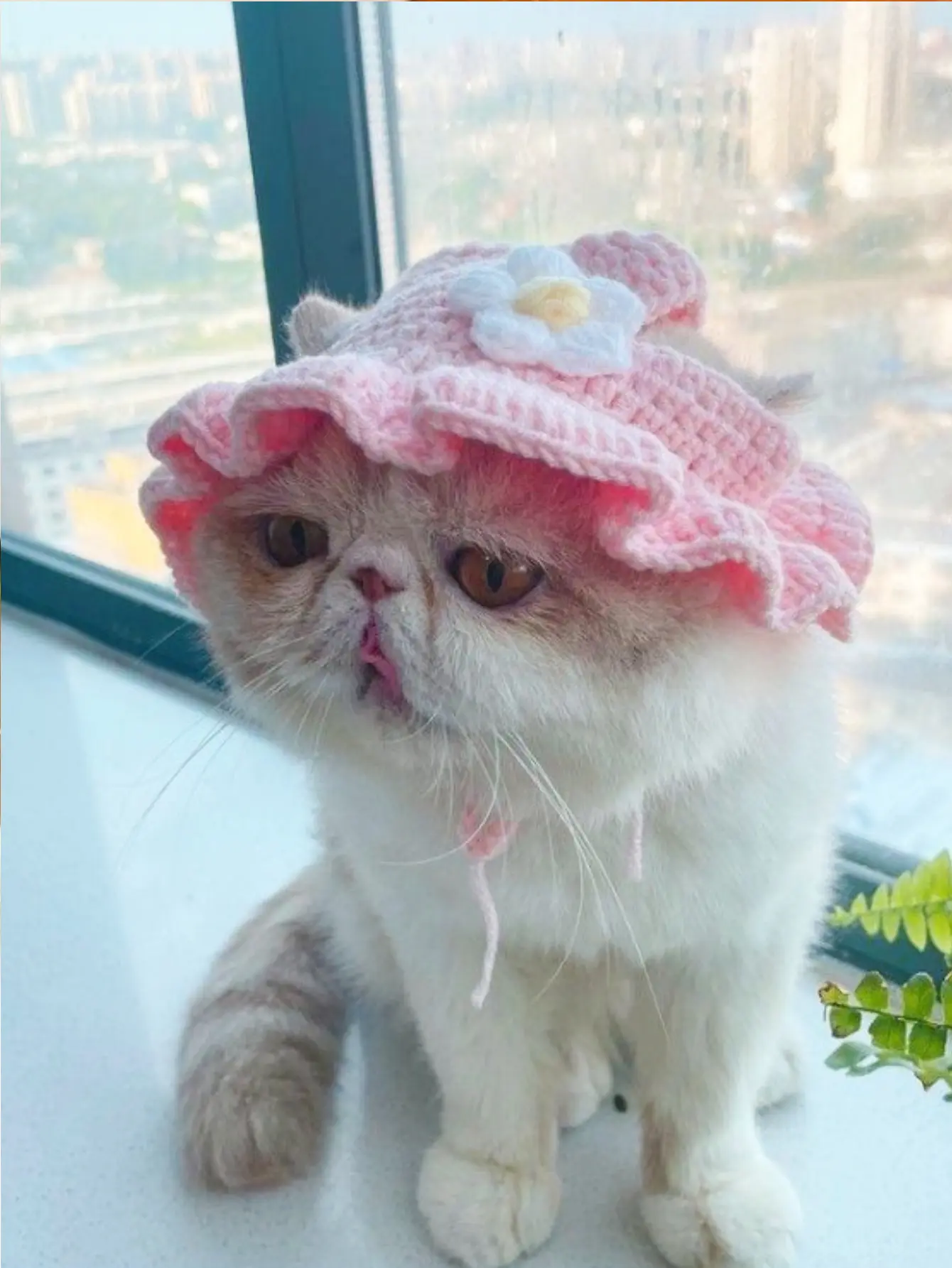 Handmade Crochet Horn Lace Pet Cat Dog Woven Hat Cross Dressing Hat Headband Birthday Hat