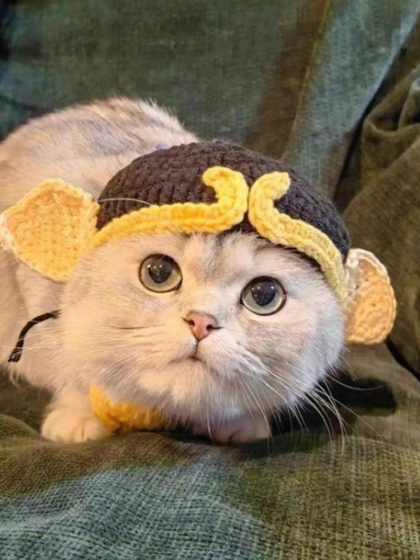 Handmade Crochet Horn Lace Pet Cat Dog Woven Hat Cross Dressing Hat Headband Birthday Hat