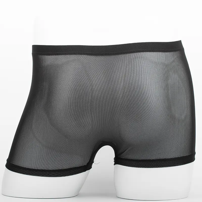 Men's Underwear Transparent Boxers Bulge Ice Silk See Through Underpants Sexy Briefs Low Waist Panties Lingerie Intimates
