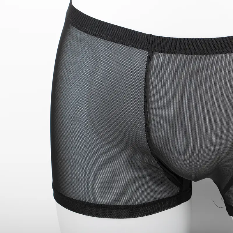 Men's Underwear Transparent Boxers Bulge Ice Silk See Through Underpants Sexy Briefs Low Waist Panties Lingerie Intimates