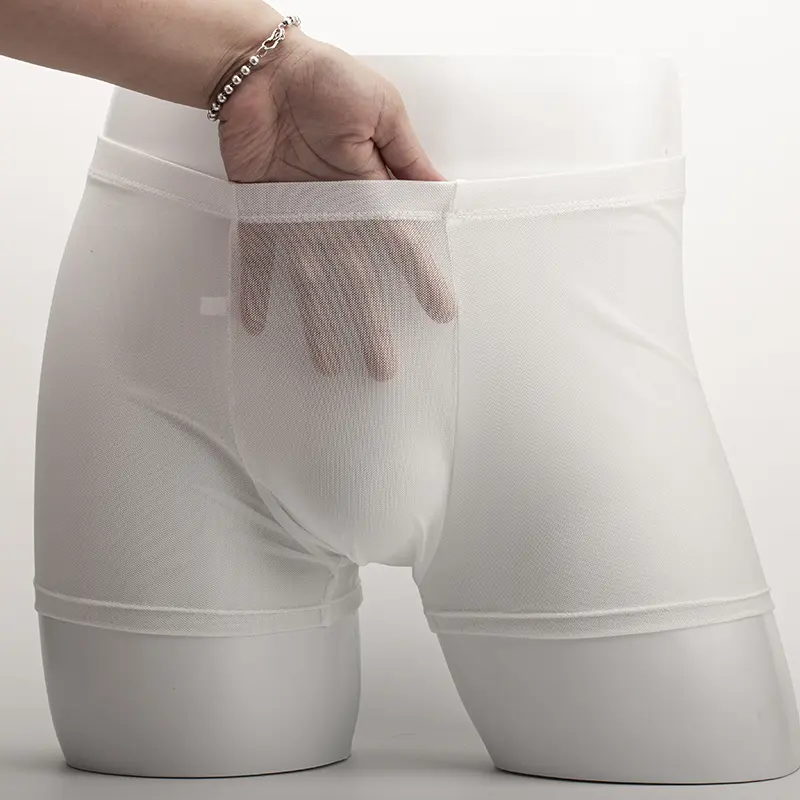 Men's Underwear Transparent Boxers Bulge Ice Silk See Through Underpants Sexy Briefs Low Waist Panties Lingerie Intimates