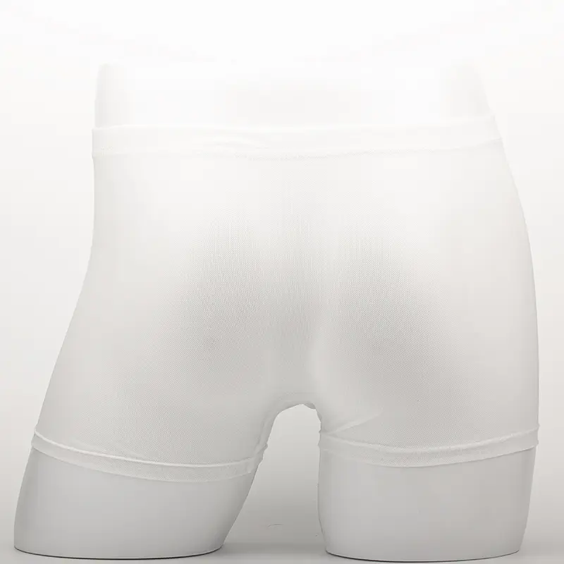 Men's Underwear Transparent Boxers Bulge Ice Silk See Through Underpants Sexy Briefs Low Waist Panties Lingerie Intimates