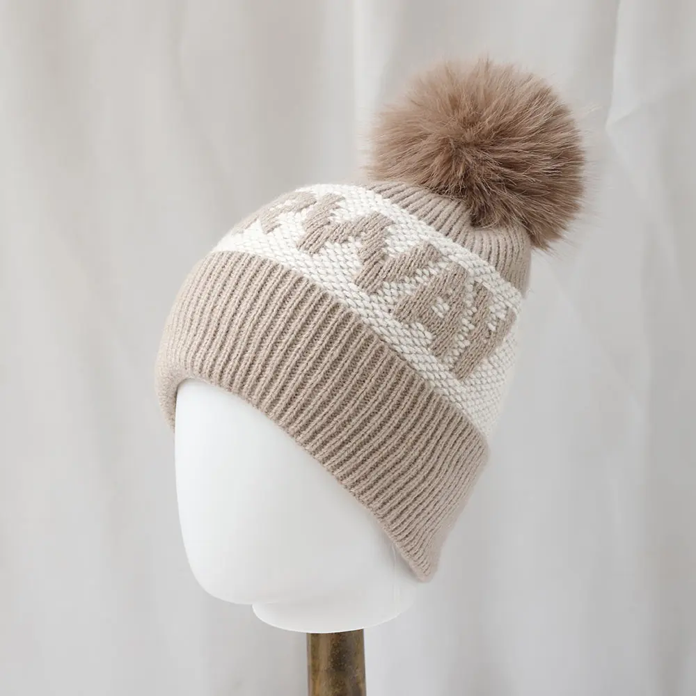 2025 new Winter Beanie Hat for Women Men Winter Hat Knitted Skullies Hat Unisex Ladies Warm Bonnet Cap Korean Trendy hat