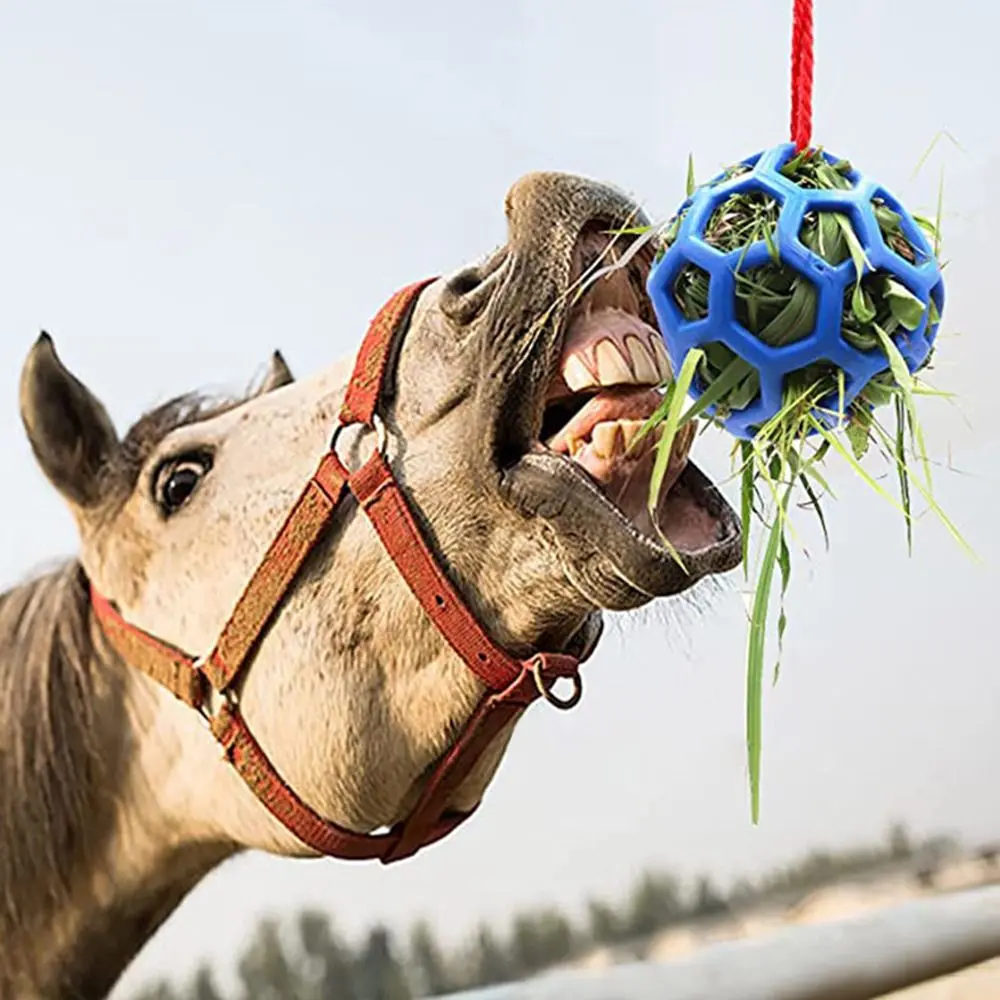 Hay Feeder Equine Horse and Pony Treat Ball Goat Hay Hanging Feeding to Sheep Feeding Dispenser Feeding Toy for Horse Cattle