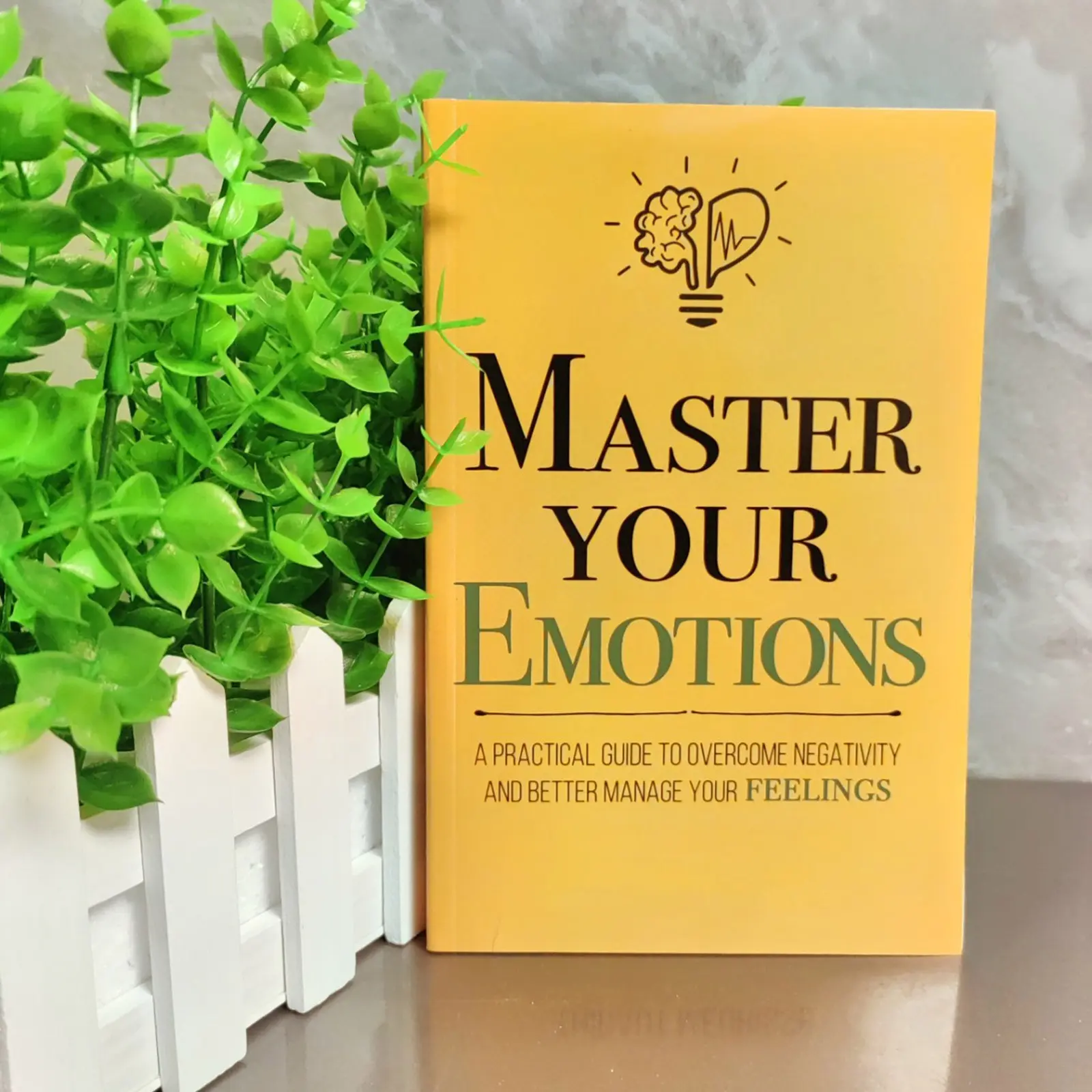 Master Your Emotions By Thibaut Meurisse Inspirational Literature Works To Control Emotions Novel Book