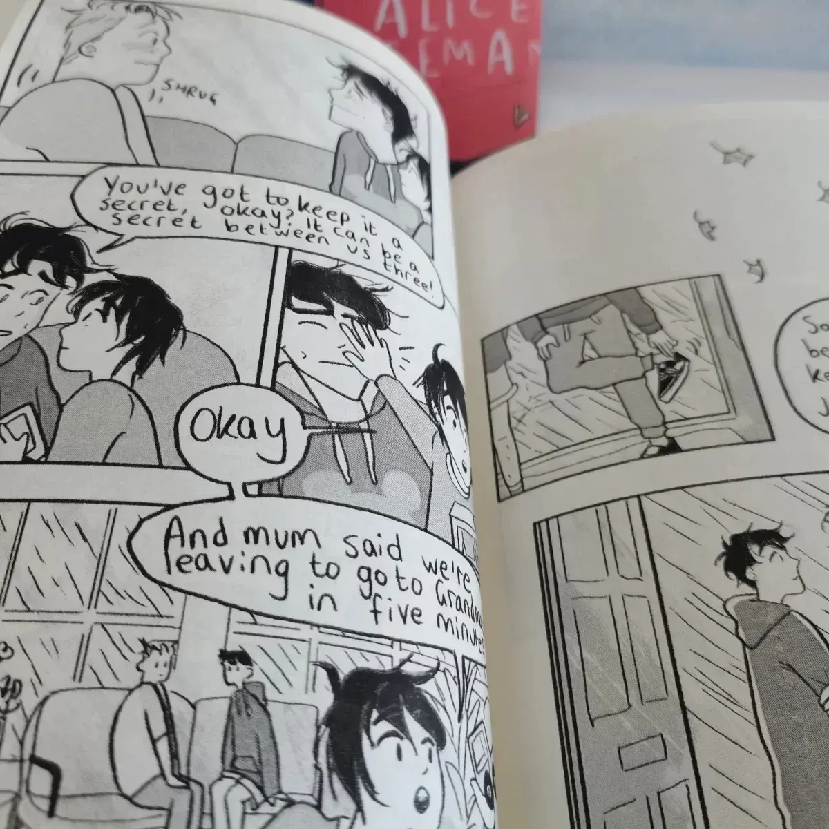Heartstopper Series Volume 1-4 Books Set By Alice Oseman Libros