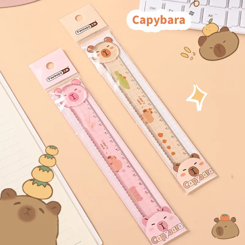 kawaii stationery Aesthetic stationery back to school acsesories School supplies drawing cute capybara ruler  school things