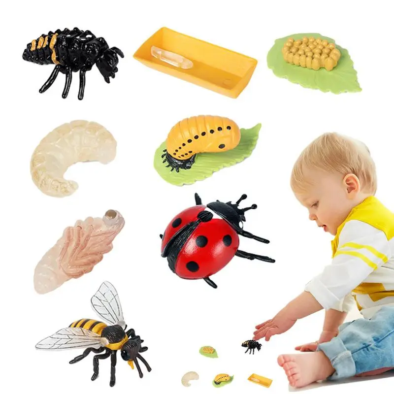 8PCS Realistic Ladybug And Bee Biological Model Life Cycle Figures Toys Farm Animal Growth Figure Learning Education Science Toy