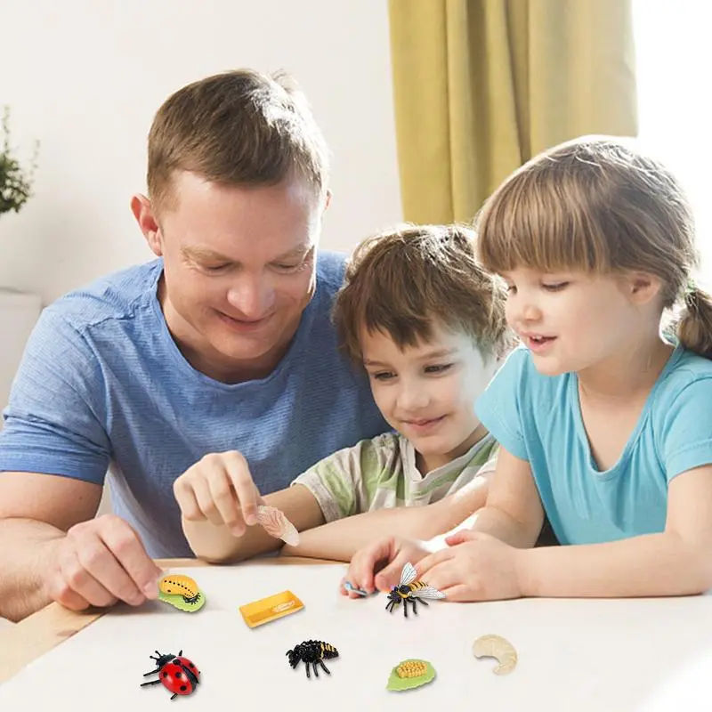 8PCS Realistic Ladybug And Bee Biological Model Life Cycle Figures Toys Farm Animal Growth Figure Learning Education Science Toy