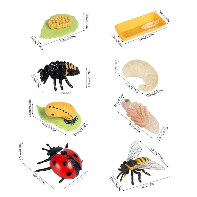 8PCS Realistic Ladybug And Bee Biological Model Life Cycle Figures Toys Farm Animal Growth Figure Learning Education Science Toy