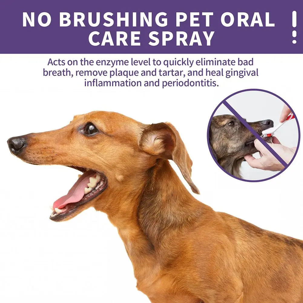 50ml Pet Oral Cleanse Spray Dogs Cats Teeth Clean Deodorant Breath Calculus Kitten Bad Remove Prevent Pet Supplies