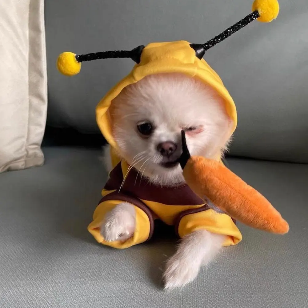 Pet Yellow Costume Honey Bee Role Play Hoodie with Buckle or Not Dogs Cats Party Cosplay Funny Outfit Clothes Dog Hoodies