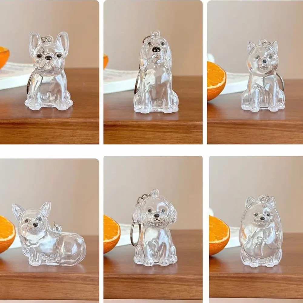 Pet Hair Storage Box Pet Hair Storage Box Transparent Keepsake Container For Dogs Couple Car Key Chains Hanging Keychain Pendant