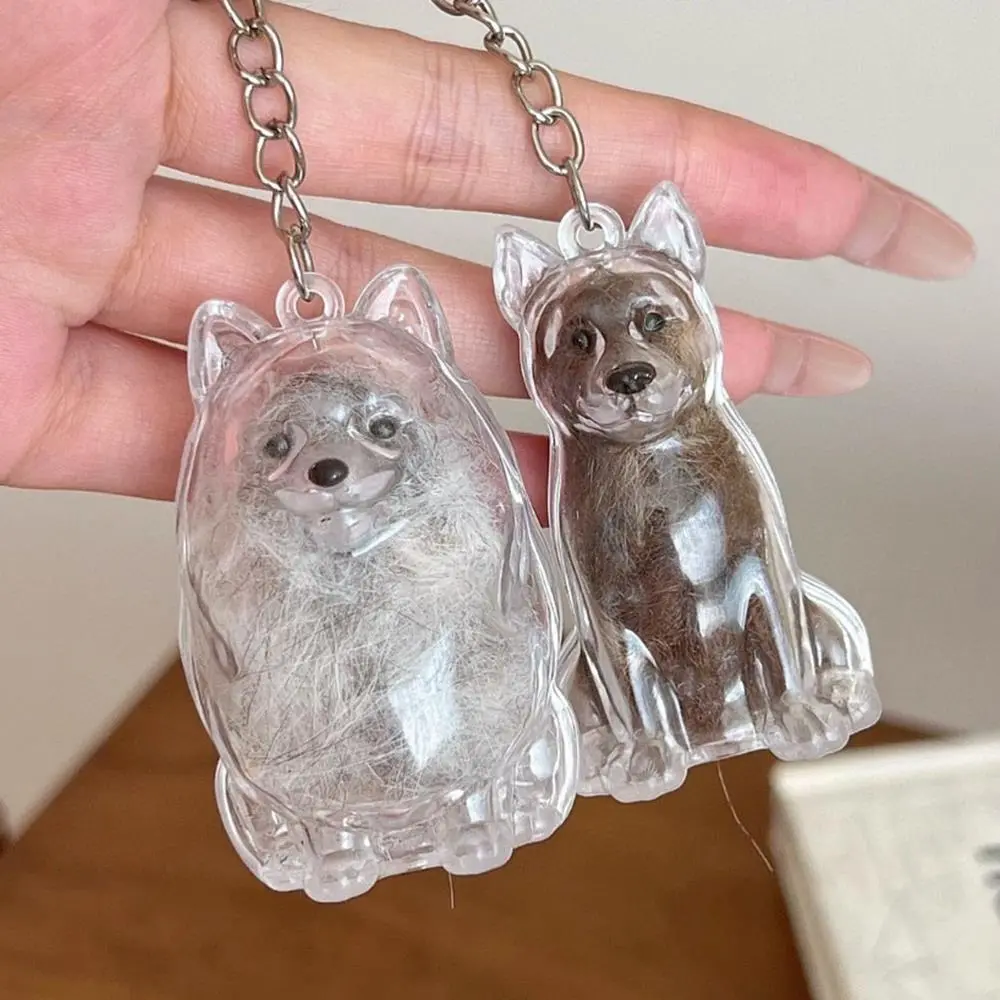 Pet Hair Storage Box Pet Hair Storage Box Transparent Keepsake Container For Dogs Couple Car Key Chains Hanging Keychain Pendant