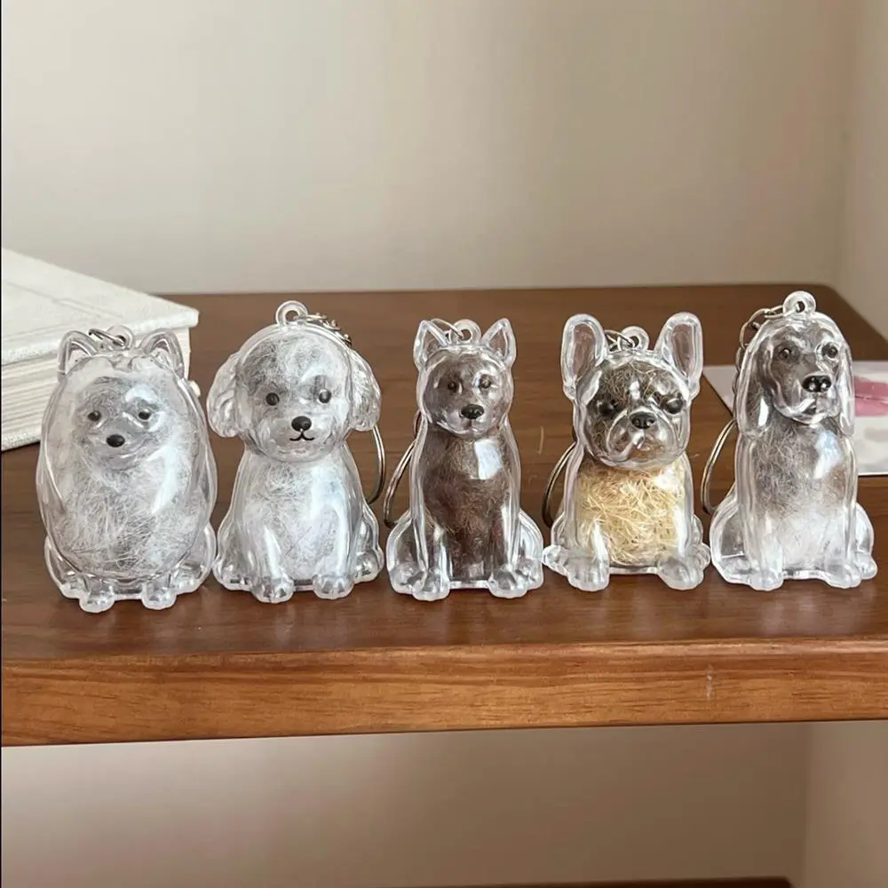 Pet Hair Storage Box Pet Hair Storage Box Transparent Keepsake Container For Dogs Couple Car Key Chains Hanging Keychain Pendant