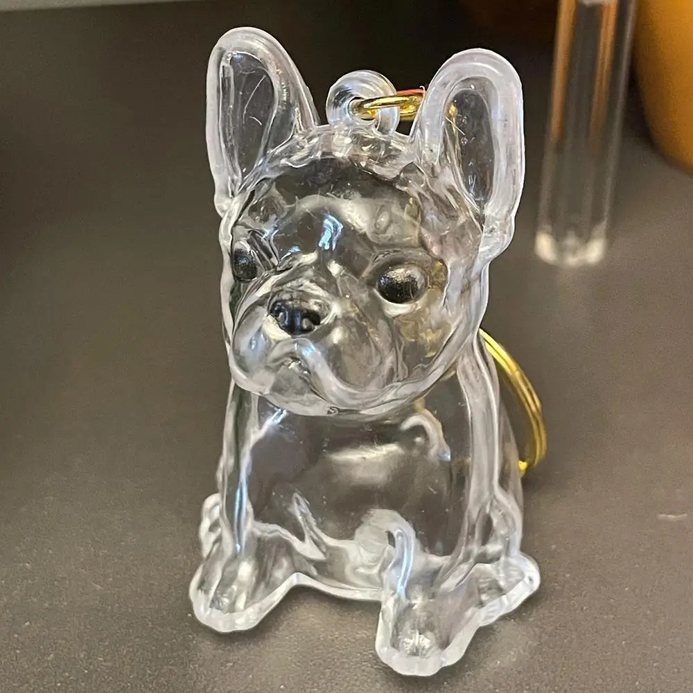 Pet Hair Storage Box Pet Hair Storage Box Transparent Keepsake Container For Dogs Couple Car Key Chains Hanging Keychain Pendant