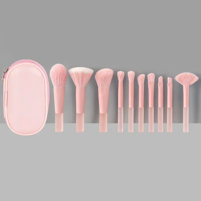 10pcs Pink Makeup Brush Set for Beginners Mini Portable Foundation Eyeshadow Brushes with Crystal Handle Includes Brush Pouch