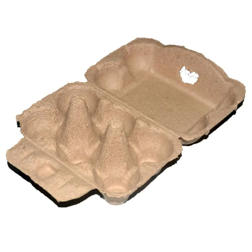 3PCS Egg Cartons Egg Holder Countertop Blank Natural Pulp Egg Cartons Holds Up to 6/12 Eggs 6 Cells 12 Cells