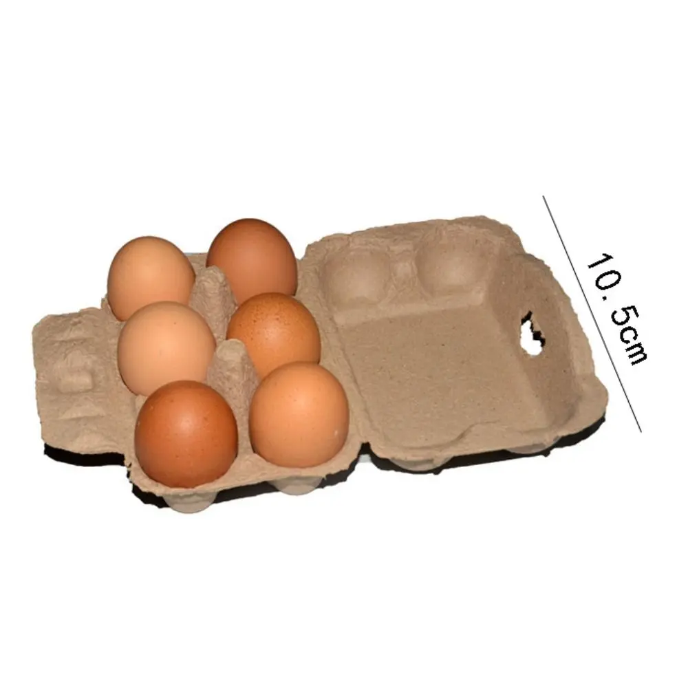 3PCS Egg Cartons Egg Holder Countertop Blank Natural Pulp Egg Cartons Holds Up to 6/12 Eggs 6 Cells 12 Cells