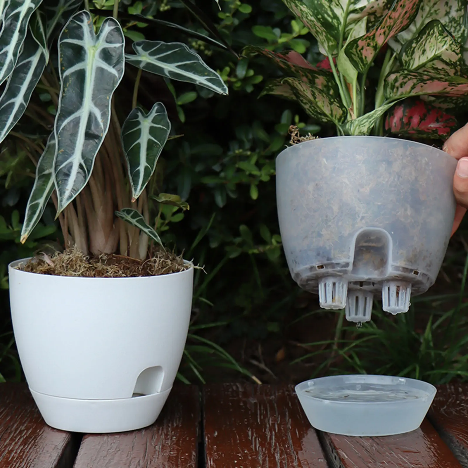 Scrubbed Bonsai Self-absorption Flowerpot Balcony Plant Pots Home Decoration Products Large-capacity Plant Growth Cultivation