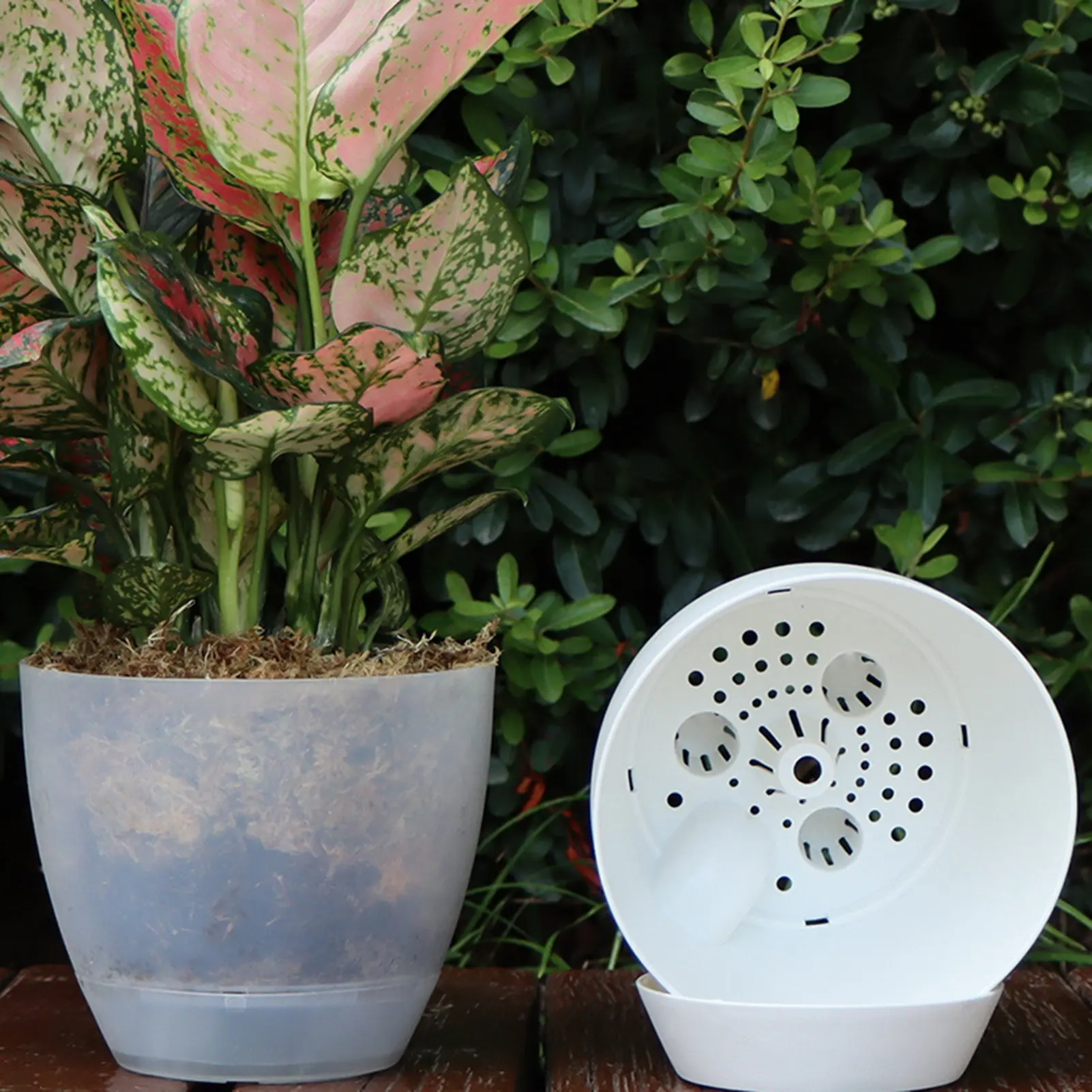 Scrubbed Bonsai Self-absorption Flowerpot Balcony Plant Pots Home Decoration Products Large-capacity Plant Growth Cultivation