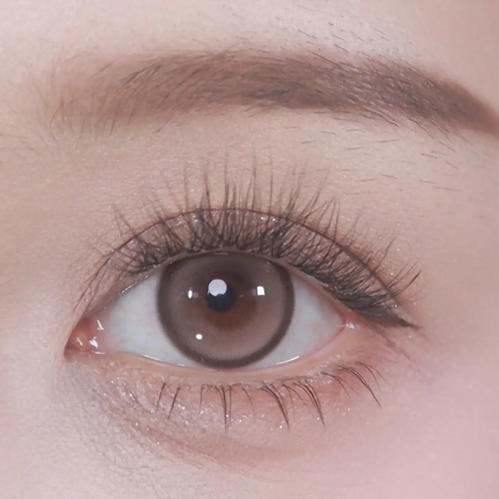 Daily Eyelashes Clusters Natural Wispy False Eyelashes Glue-free Realistic False Eyelashes Perfect for Night Out Eye Makeup