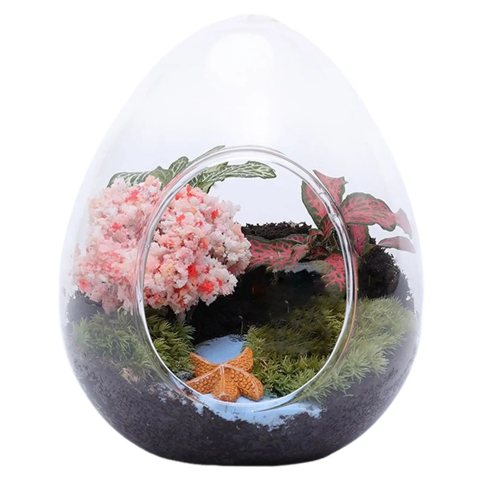 Creative Egg-shaped Glass Bottle Glass Vase Hydroponics Fleshy Micro-landscape Glass Fish Tank Moss Home Decoration