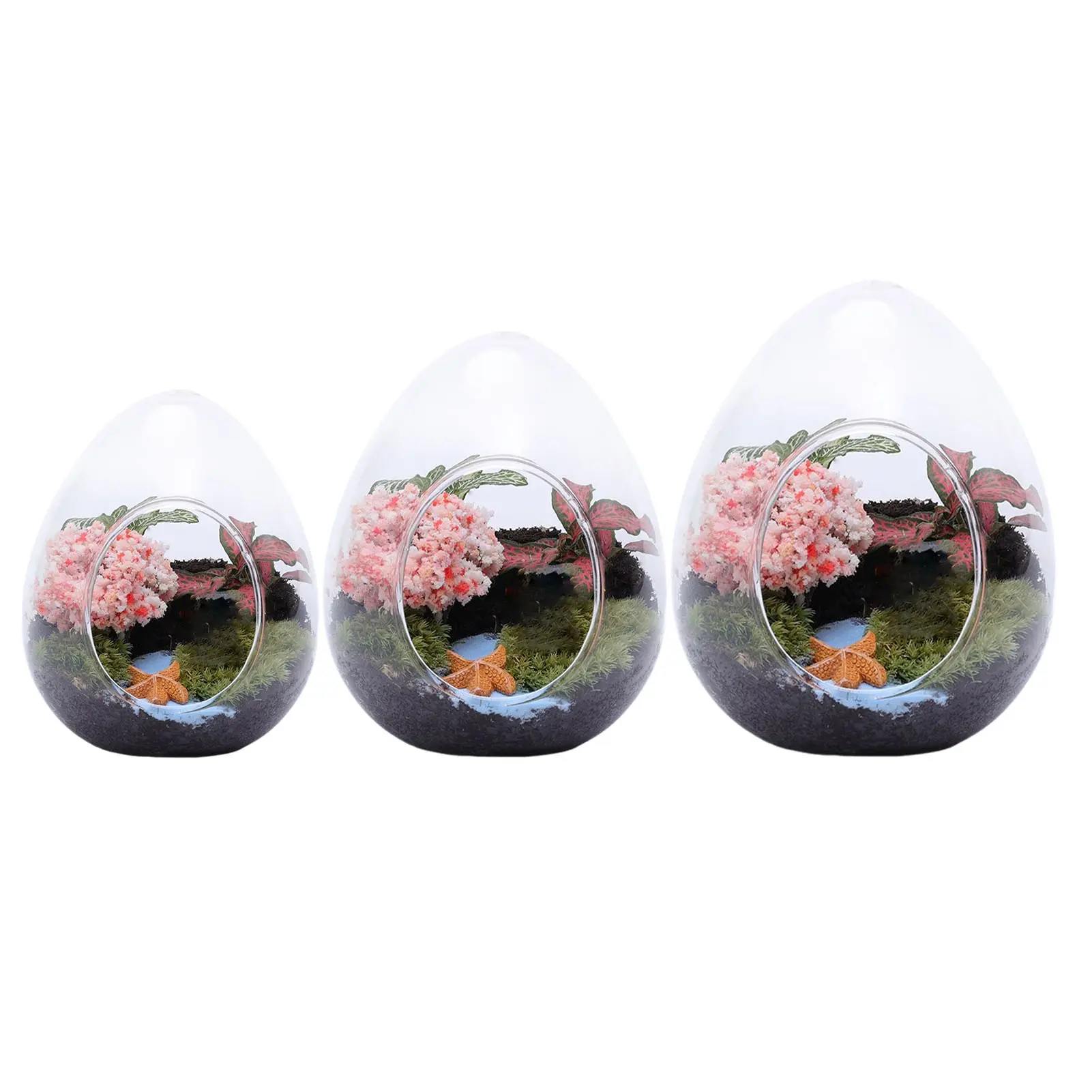 Creative Egg-shaped Glass Bottle Glass Vase Hydroponics Fleshy Micro-landscape Glass Fish Tank Moss Home Decoration