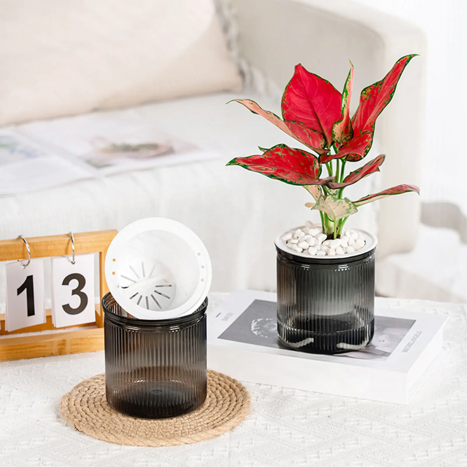 Lazy Hydroponic Flowerpot Glass-like Automatic Water-absorbing Small Potted Transparent Double-layer Office Creative Culture