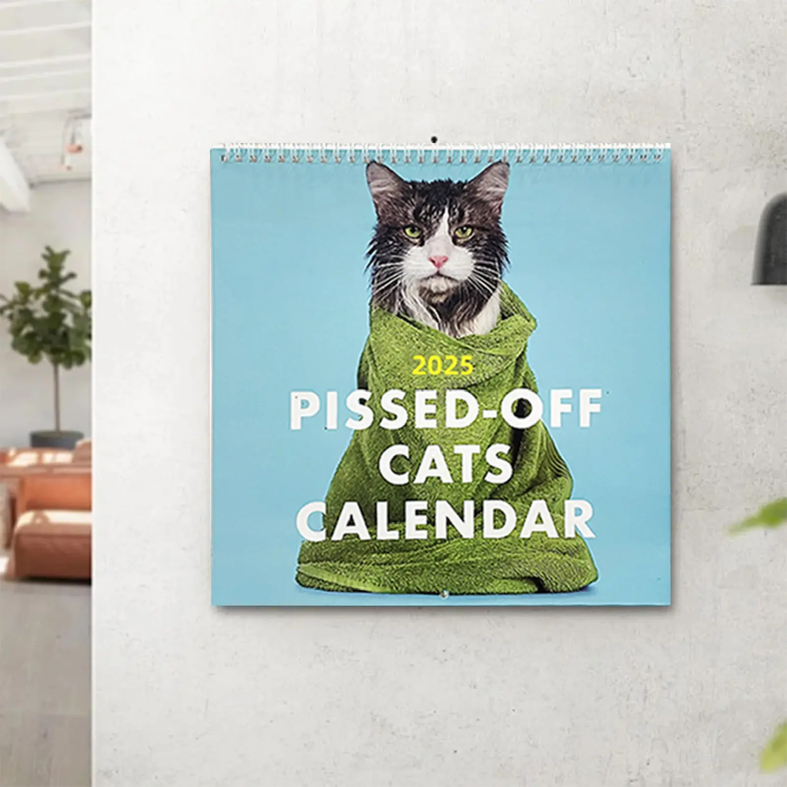 2025 Space Cats Theme Wall Calendar Funny Annual Monthly Wall Planner for Study Bedroom Office Decoration
