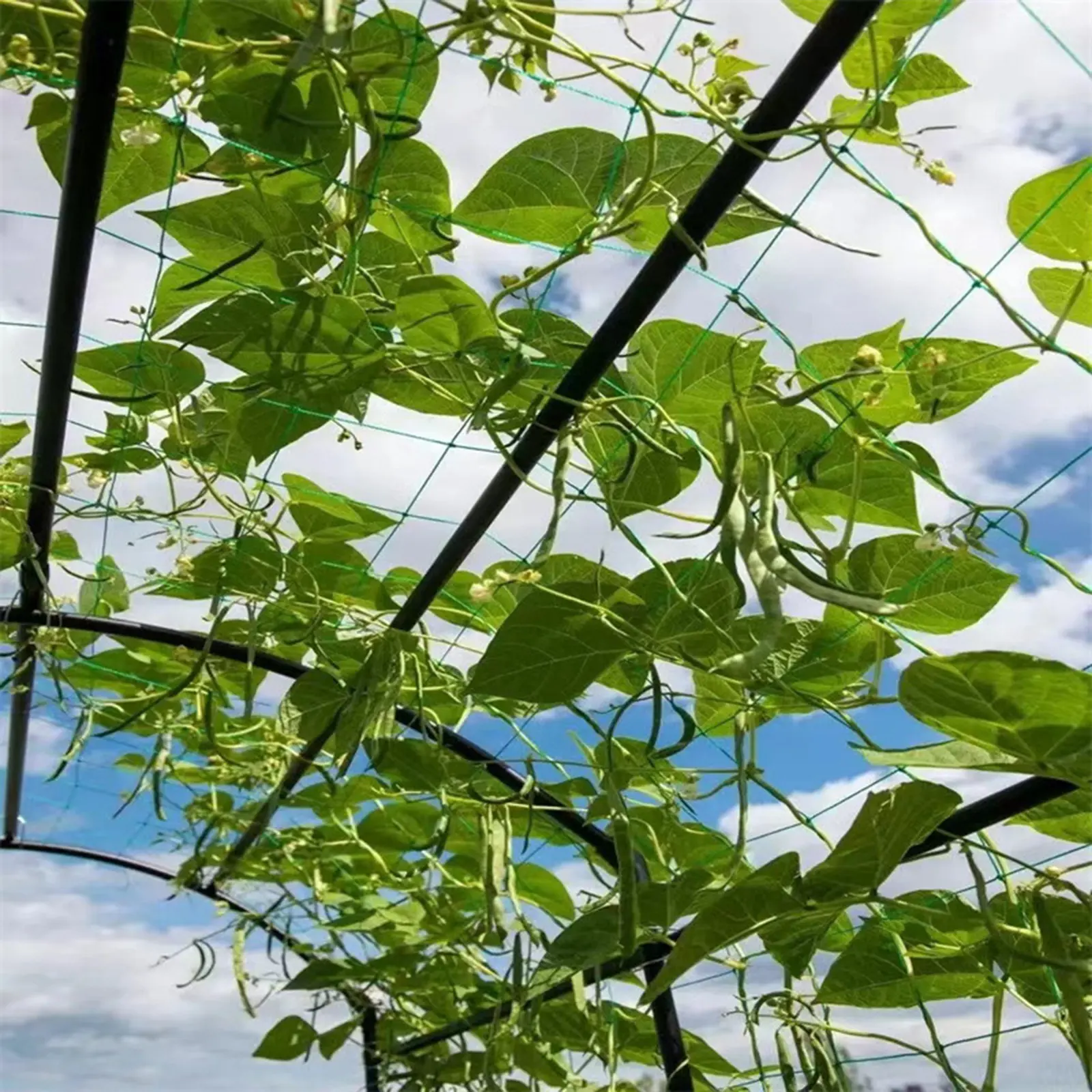 Garden Plants Trellis Netting Plant Garden Vine Growing Flexible String Net For Climbing Plant Fruits Vegetables Vines Grid